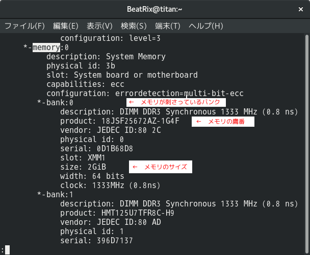 メモリ型番の取得